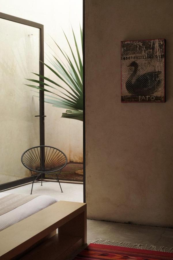 Casa Carmen Reforma Hotel Oaxaca Exterior foto
