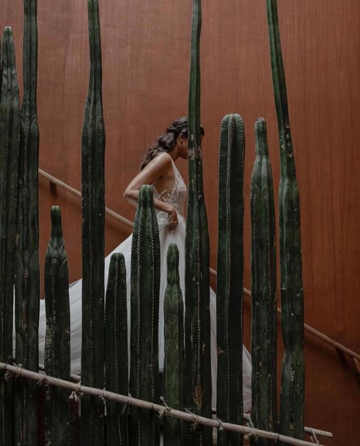 Casa Carmen Reforma Hotel Oaxaca Exterior foto