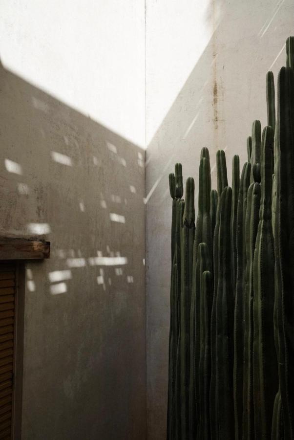 Casa Carmen Reforma Hotel Oaxaca Exterior foto